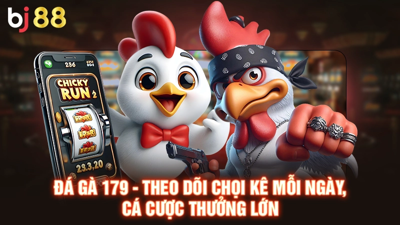 Đá Gà 179 - Theo Dõi Chọi Kê Mỗi Ngày, Cá Cược Thưởng Lớn