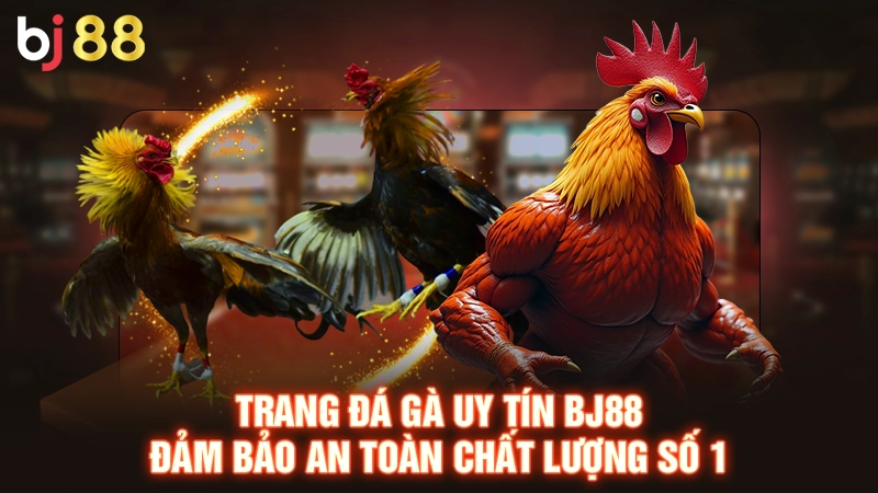 Tìm hiểu về trang đá gà uy tín
